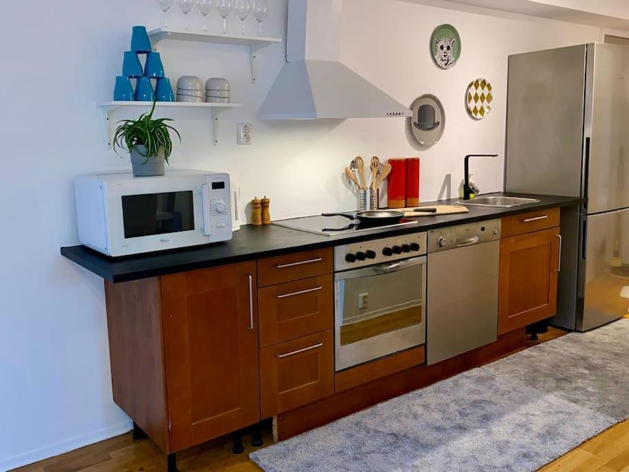 Center Flat With Balcony & Free Parking Apartment Oslo